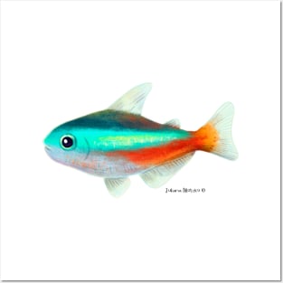 Neon Tetra Fish Posters and Art